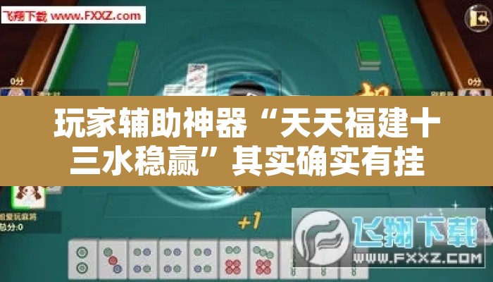 玩家辅助神器“天天福建十三水稳赢”其实确实有挂