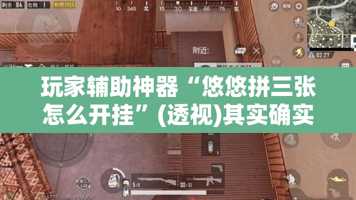 玩家辅助神器“悠悠拼三张怎么开挂”(透视)其实确实有挂