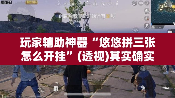 玩家辅助神器“悠悠拼三张怎么开挂”(透视)其实确实有挂