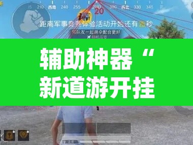 辅助神器“新道游开挂辅助”(透视)其实确实有挂