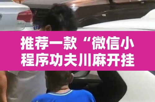 推荐一款“微信小程序功夫川麻开挂神器”其实确实有挂
