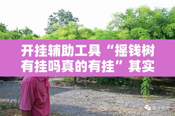 开挂辅助工具“摇钱树有挂吗真的有挂	”其实确实有挂
