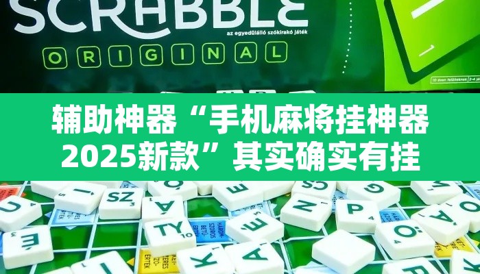 辅助神器“手机麻将挂神器2025新款”其实确实有挂