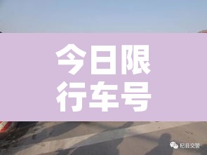 今日限行车号 → 郑州市今日限行车号