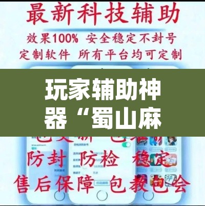 玩家辅助神器“蜀山麻将开挂神器”(透视挂)辅助透视教程