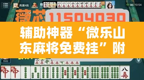 辅助神器“微乐山东麻将免费挂”附辅助神器开挂脚本详细步骤
