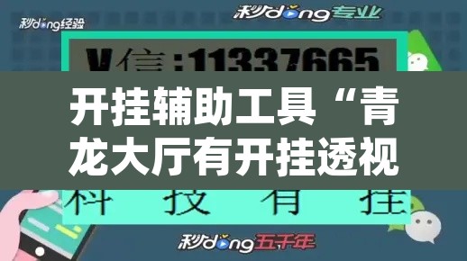 开挂辅助工具“青龙大厅有开挂透视吗	”(透视)其实确实有挂