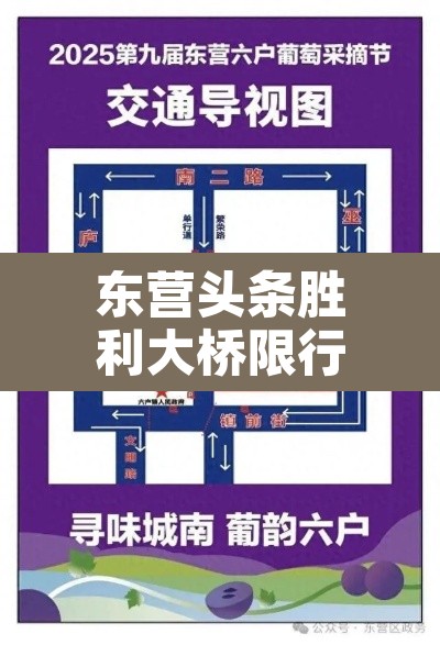 东营头条胜利大桥限行：胜利大桥限速多少