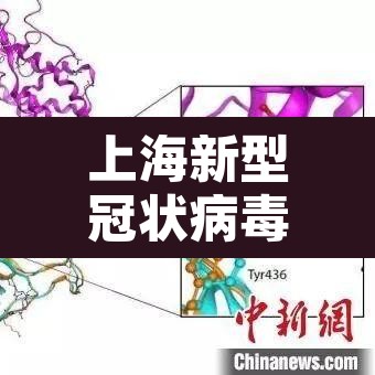 上海新型冠状病毒 → 上海新型冠状病毒16元收费条码