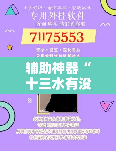 辅助神器“十三水有没有挂可以买”开挂辅助脚本+详细开挂安装教程
