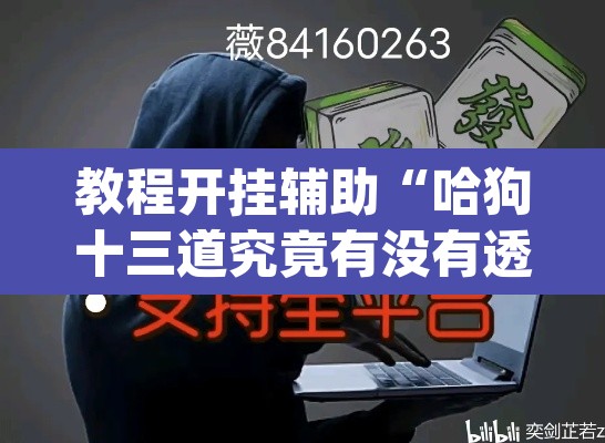 教程开挂辅助“哈狗十三道究竟有没有透视挂	”(透视)其实确实有挂