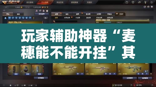 玩家辅助神器“麦穗能不能开挂	”其实确实有挂