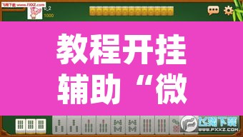 教程开挂辅助“微乐四川麻将怎么开免费的挂”(透视挂)辅助透视教程