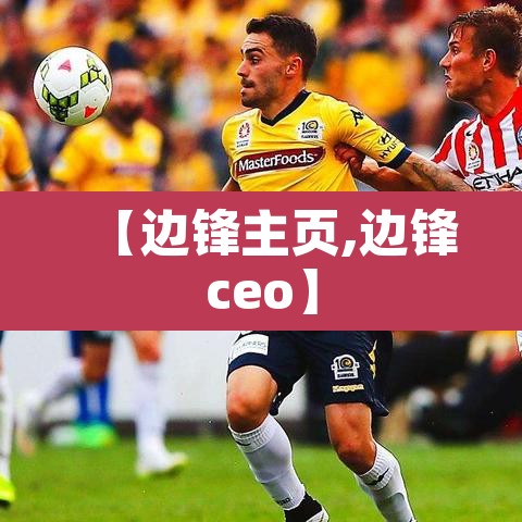 【边锋主页,边锋ceo】