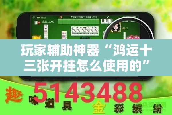 玩家辅助神器“鸿运十三张开挂怎么使用的”其实确实有挂