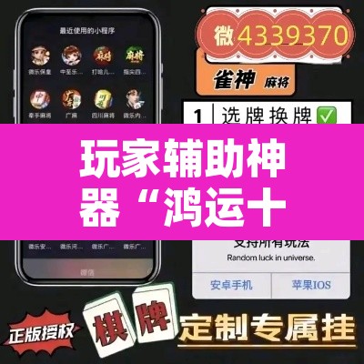 玩家辅助神器“鸿运十三张开挂怎么使用的”其实确实有挂