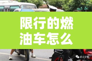 限行的燃油车怎么处罚›车辆限行行驶怎么处罚 限行的燃油车怎么处罚›车辆限行行驶怎么处罚