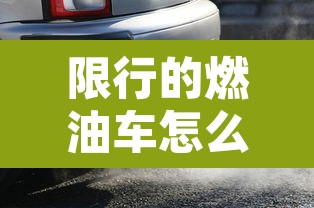 限行的燃油车怎么处罚›车辆限行行驶怎么处罚 限行的燃油车怎么处罚›车辆限行行驶怎么处罚