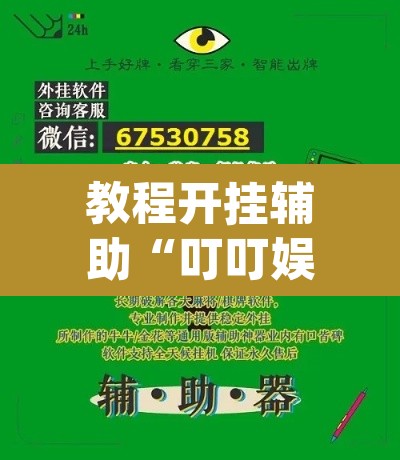 教程开挂辅助“叮叮娱乐辅助”(透视挂)辅助透视教程