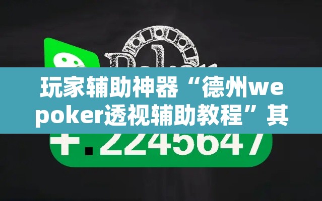 玩家辅助神器“德州wepoker透视辅助教程”其实确实有挂