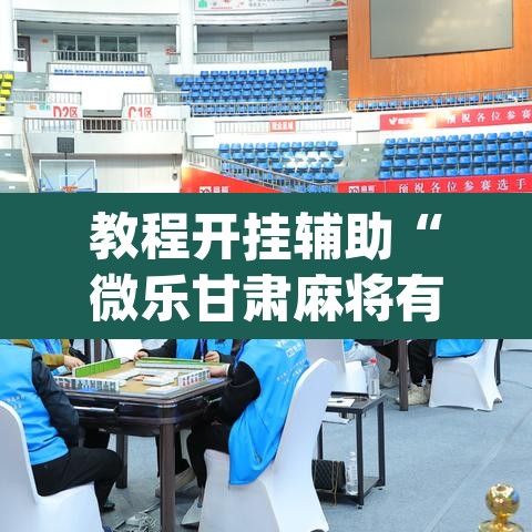 教程开挂辅助“微乐甘肃麻将有挂吗”(透视挂)辅助透视教程