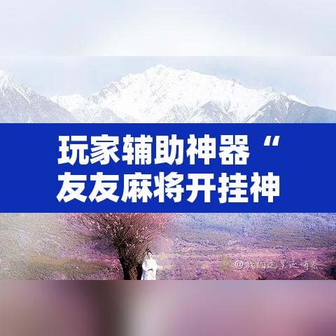 玩家辅助神器“友友麻将开挂神器	”开挂辅助脚本+详细开挂安装教程