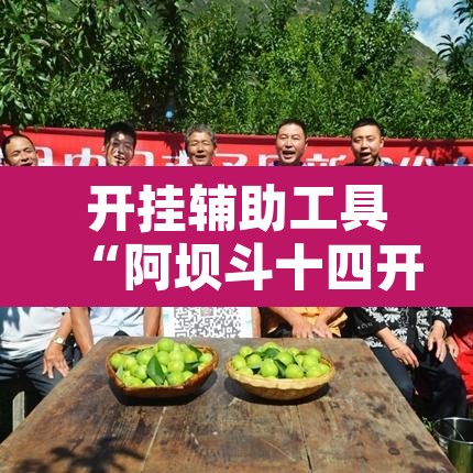 开挂辅助工具“阿坝斗十四开挂神器”其实确实有挂