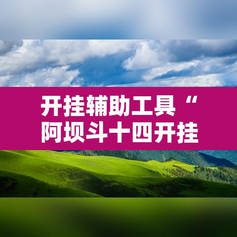 开挂辅助工具“阿坝斗十四开挂神器”其实确实有挂