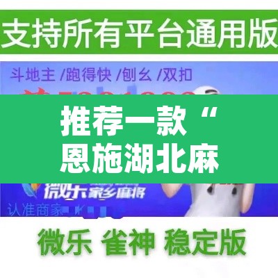 推荐一款“恩施湖北麻将到底能不能开挂”开挂辅助脚本+详细开挂安装教程