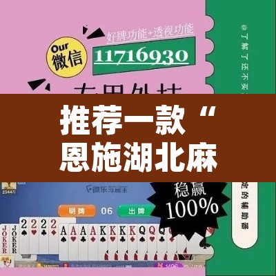 推荐一款“恩施湖北麻将到底能不能开挂”开挂辅助脚本+详细开挂安装教程