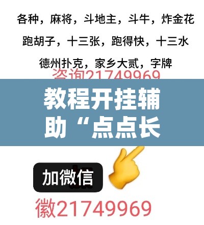 教程开挂辅助“点点长牌透视挂的软件”(透视挂)辅助透视教程