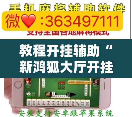 教程开挂辅助“新鸿狐大厅开挂	”(透视挂)辅助透视教程