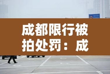 成都限行被拍处罚：成都限行被拍多少次