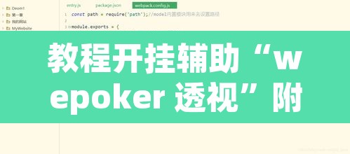 教程开挂辅助“wepoker 透视”附辅助神器开挂脚本详细步骤
