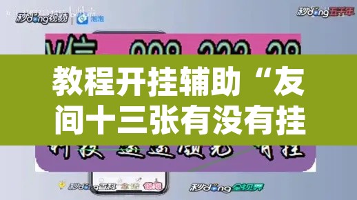 教程开挂辅助“友间十三张有没有挂”(透视挂)辅助透视教程
