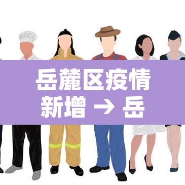 岳麓区疫情新增 → 岳麓区新增病例