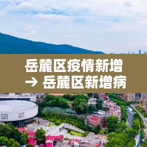 岳麓区疫情新增 → 岳麓区新增病例