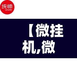 【微挂机,微挂机动】