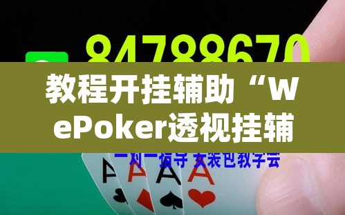 教程开挂辅助“WePoker透视挂辅助软件”(透视挂)辅助透视教程