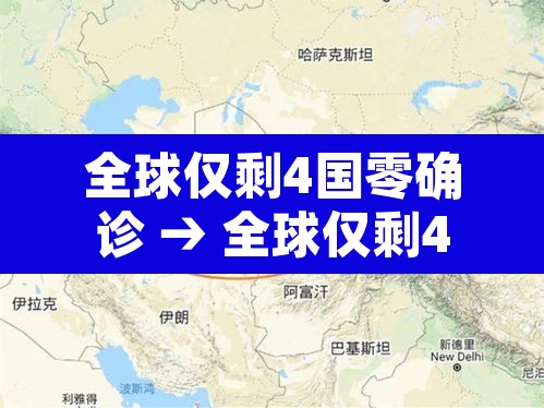 全球仅剩4国零确诊 → 全球仅剩4个国家未发现新冠