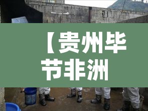 【贵州毕节非洲猪瘟,威宁非洲猪瘟】