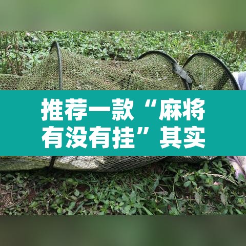 推荐一款“麻将有没有挂”其实确实有挂