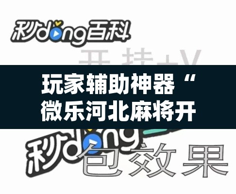 玩家辅助神器“微乐河北麻将开挂免费下载	”(透视挂)辅助透视教程