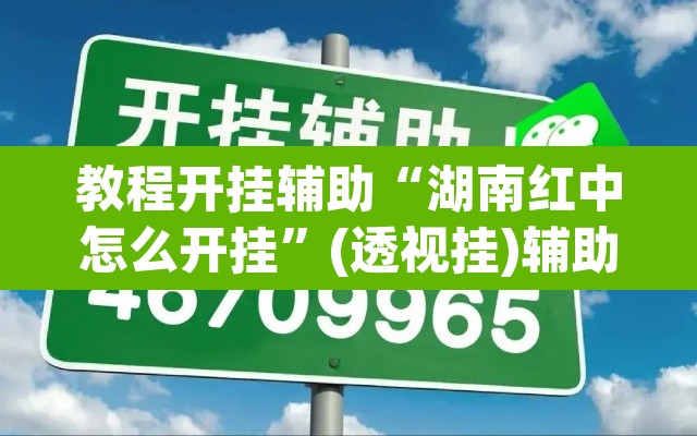 教程开挂辅助“湖南红中怎么开挂”(透视挂)辅助透视教程