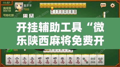 开挂辅助工具“微乐陕西麻将免费开挂神器”(透视挂)辅助透视教程