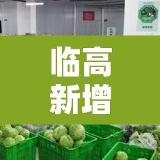 临高新增疫情—（临高县新闻最新消息）