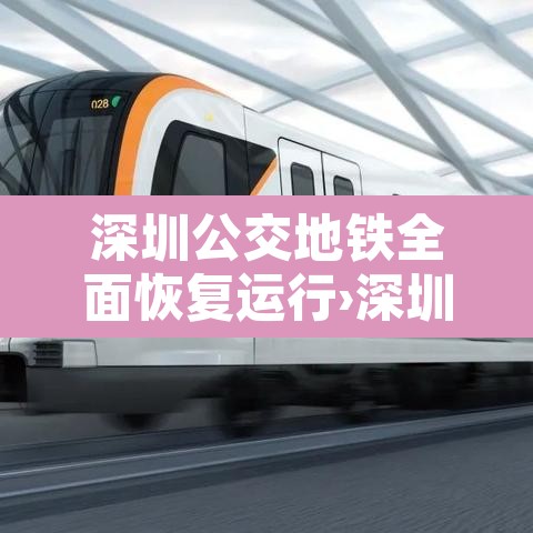 深圳公交地铁全面恢复运行›深圳公交地铁线路查询路线