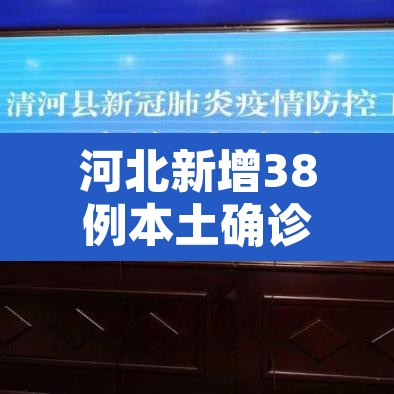 河北新增38例本土确诊—（河北新增32本土确诊轨迹）