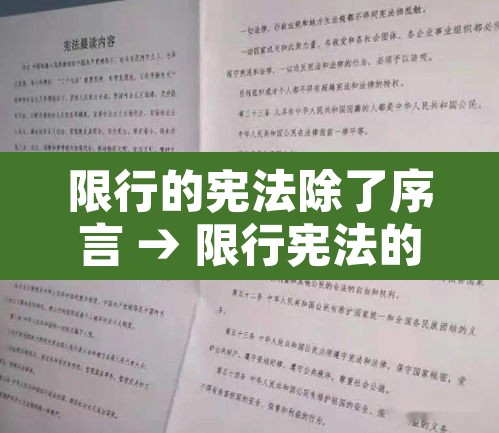 限行的宪法除了序言 → 限行宪法的修改与国家发展