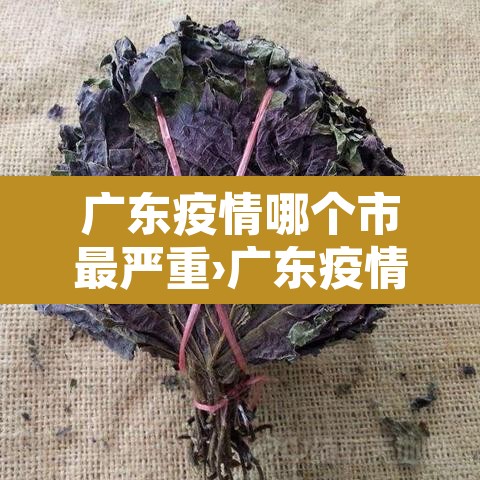 广东疫情哪个市最严重›广东疫情哪个市最严重最新 广东疫情哪个市最严重›广东疫情哪个市最严重最新